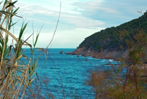Playas de Mallorca, pasión y baños al sol